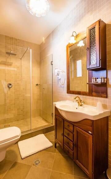 Фото номера Двухместный номер Делюкс с 1 кроватью Гостевой дом Dacii Liberi Resort and Spa г. Petrova 2