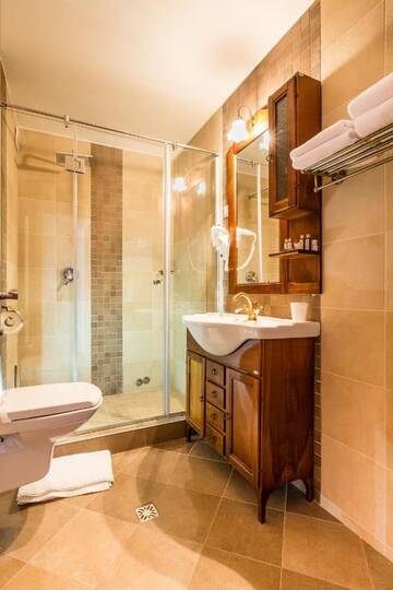 Фото номера Улучшенный двухместный номер с 1 кроватью Гостевой дом Dacii Liberi Resort and Spa г. Petrova 4